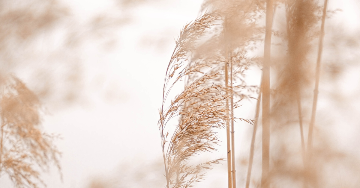 How to Style Boho Clothing for Everyday Wear