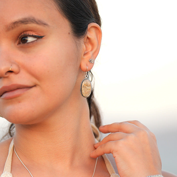 Lake Superior Earrings