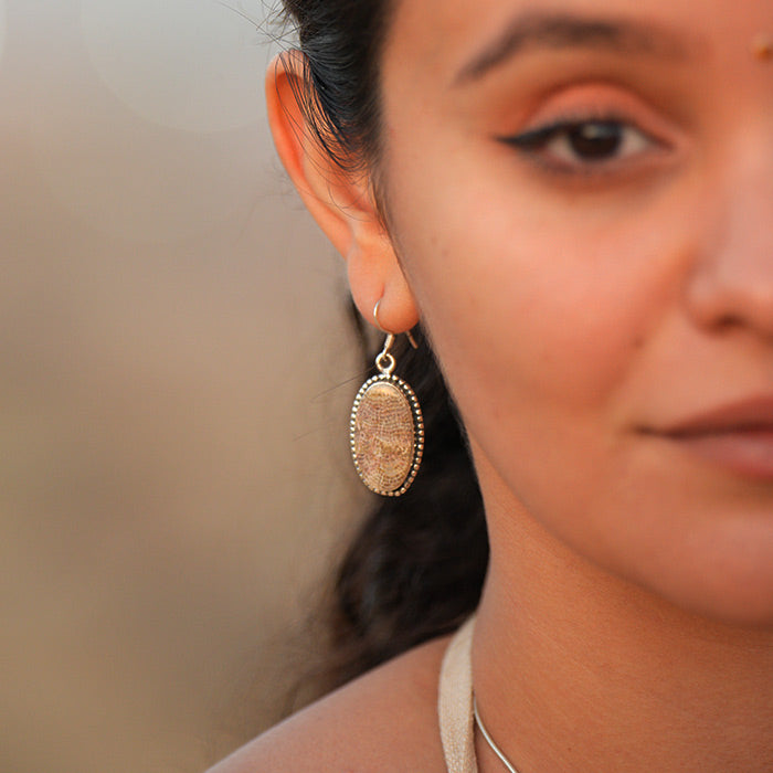 Lake Superior Earrings